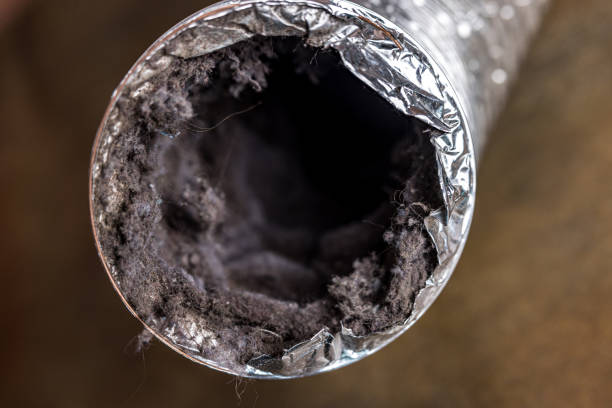 Best Local Air Duct Cleaning Services  in Lakemont, PA